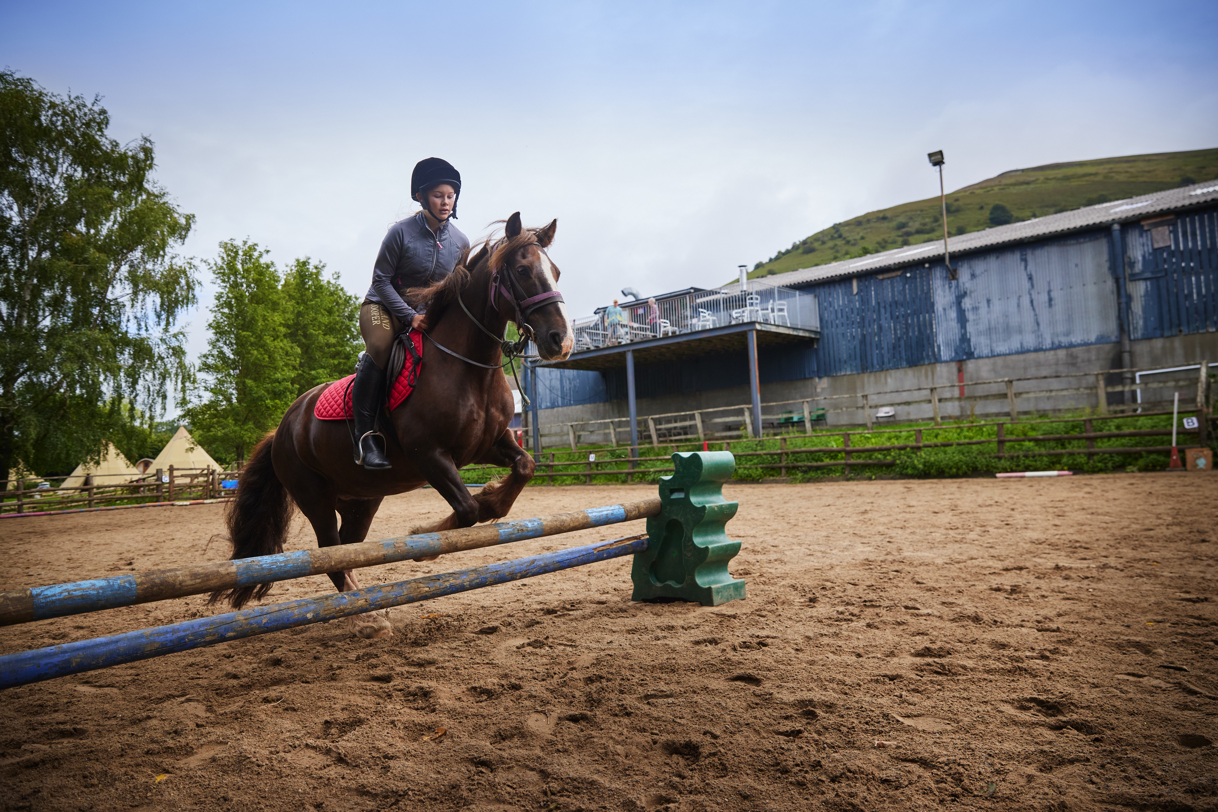 Membership Options - The United States Pony Clubs, Inc.
