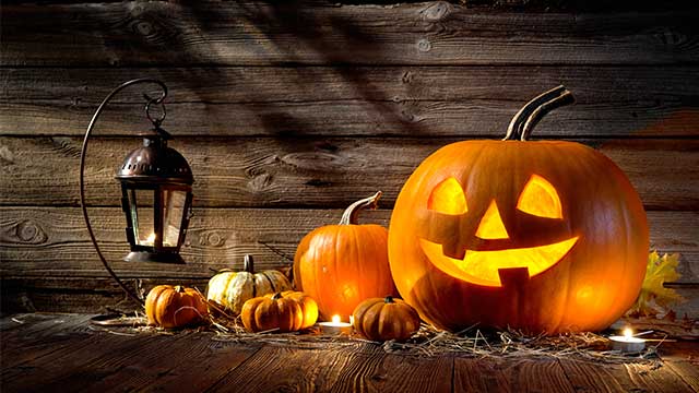 Image result for halloween themed trip