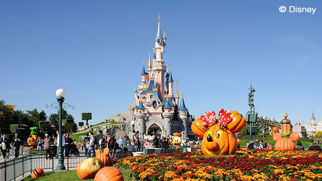 Paris and Disney Offer